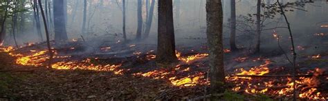 Dry conditions increase fire risk this season as leaves fall